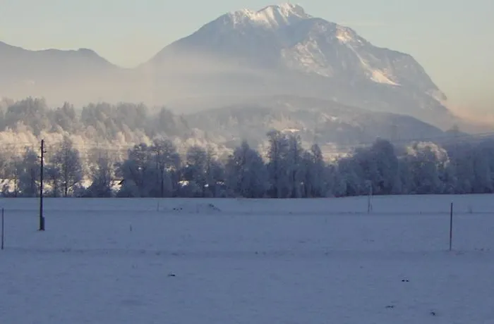 Buche * Hermagor-Pressegger See