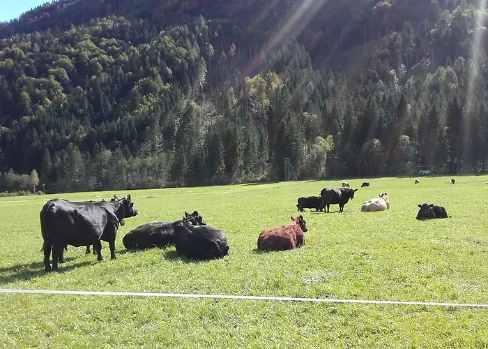 Buche Apartment Hermagor-Pressegger See